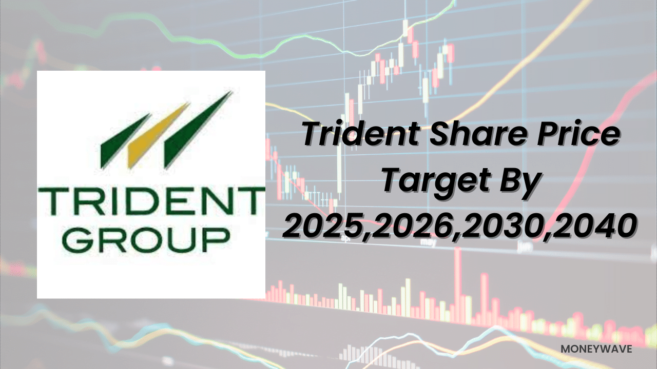 Suzlon Energy Share Price Target 2025, 2026, 2030 & 2040 - Money Wave